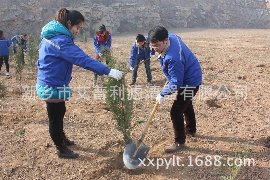 艾普利鳳凰山植樹，為美麗新鄉(xiāng)添新綠(圖2)